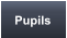 Pupils