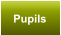 Pupils